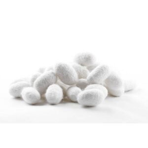 Silk | Abresham | ابریشم