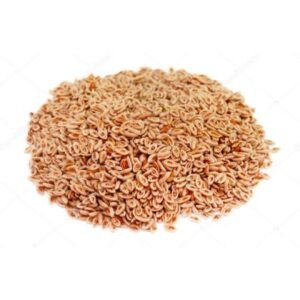 Psyllium | Ispaghol | اسپغول