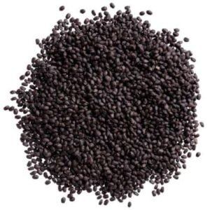 Tukmaria Seeds | Tukhm Bilango | تخم بلنگو