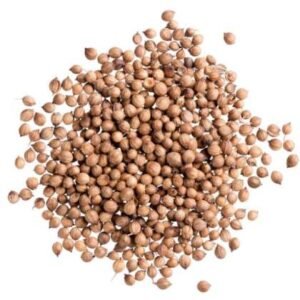 Coriander | Dhaniya | دھنیا