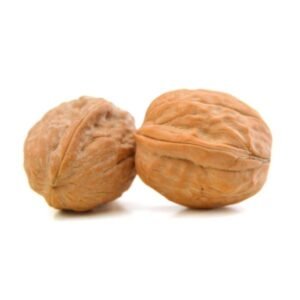 Walnut | Akhrot | اخروٹ