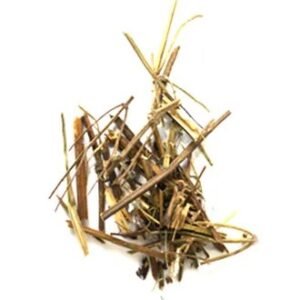 Bitterstick | Chiretta | چرائتہ