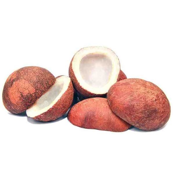 Coconut | Giri Khopra | گری کھوپرا