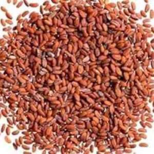 Garden Cress | Halyon | ہالیون