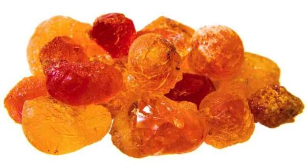 Gum Arabica | Gond Kikar | گوند کیکر
