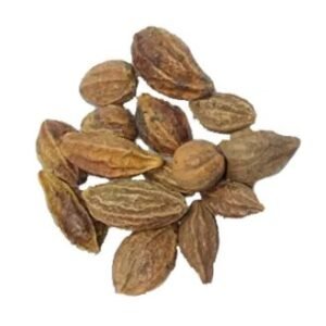 Terminalia Chebula | Hareer Sabz | ہریڑ سبز