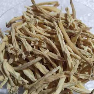 Garden Asparagus | Mosli Safaid | موصلی سفید