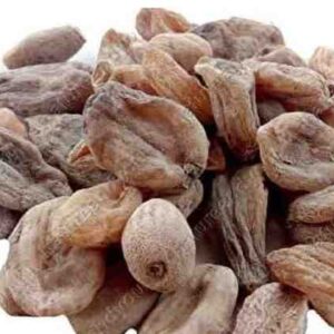 Salep | Salab Misri | ثعلب مصری