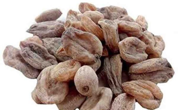 Salep | Salab Misri | ثعلب مصری