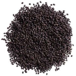 Ocimum Basilicon | Tukhm Rehan | تخم ریحاں